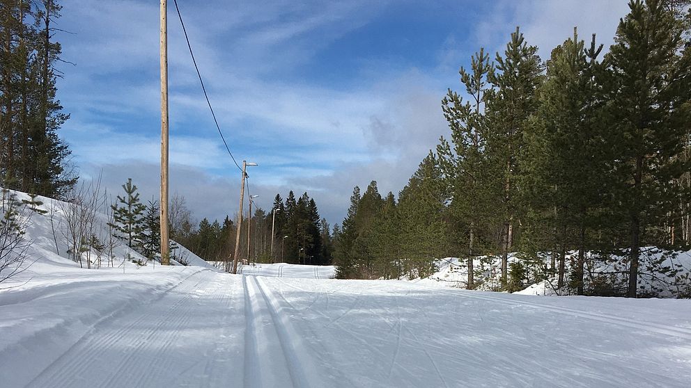 Bild på skidspår genom en skog. Blå himmel med lite moln i bakgrunden.