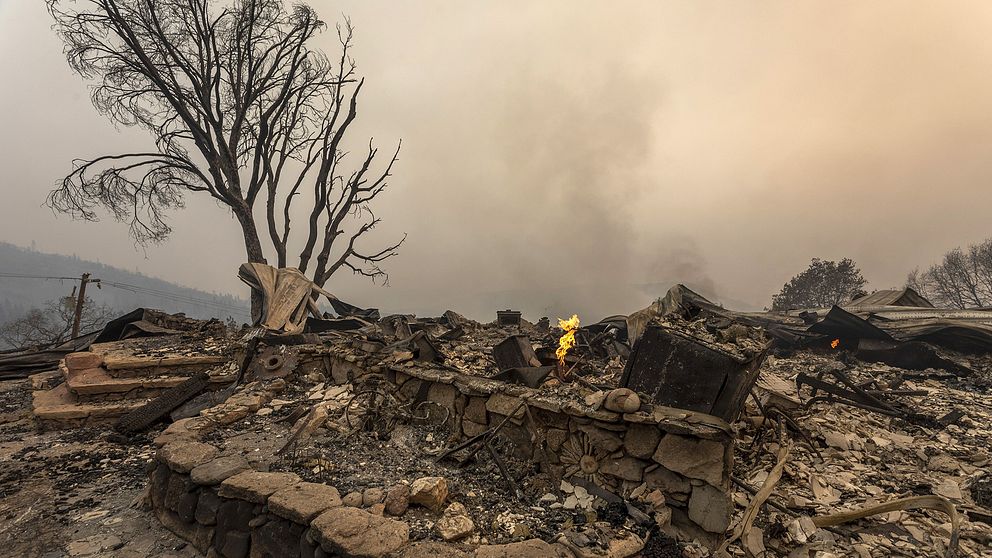 Hus i Shaver Lake, Kalifornien, som brunnit ner till grunden efter att skogsbränder härjade i området i början på september.