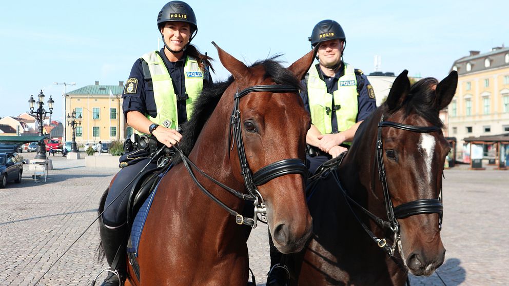 polishästar i Karlskrona