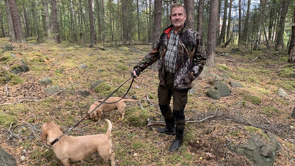 Jaktledaren Anders Wiklund tillsammans med sina jakthundar.