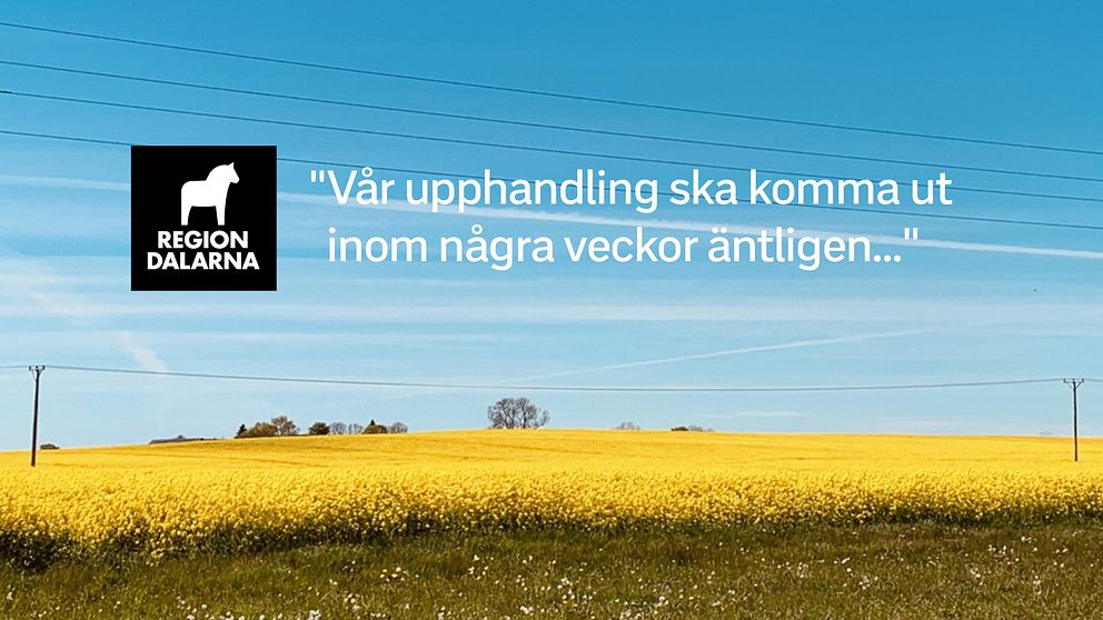 Långt innan de andra anbudsgivarna informerades fick Vårdinnovation veta att en upphandling var på gång i Region Dalarna. Det visar mejlväxling som SVT tagit del av.