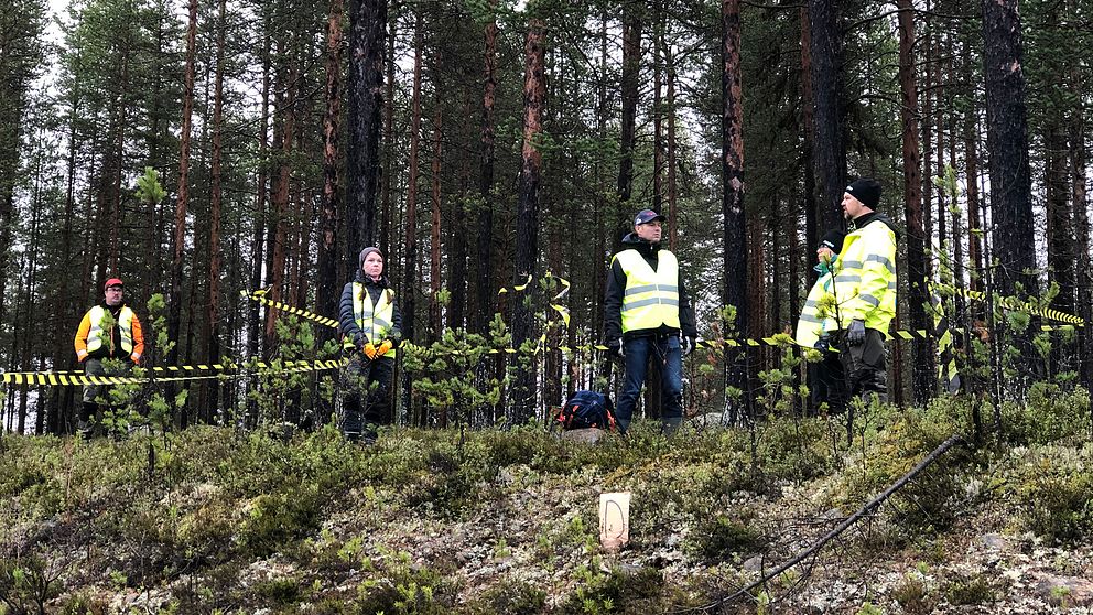 Personer med varselvästar står uppradade vid en skogskant.