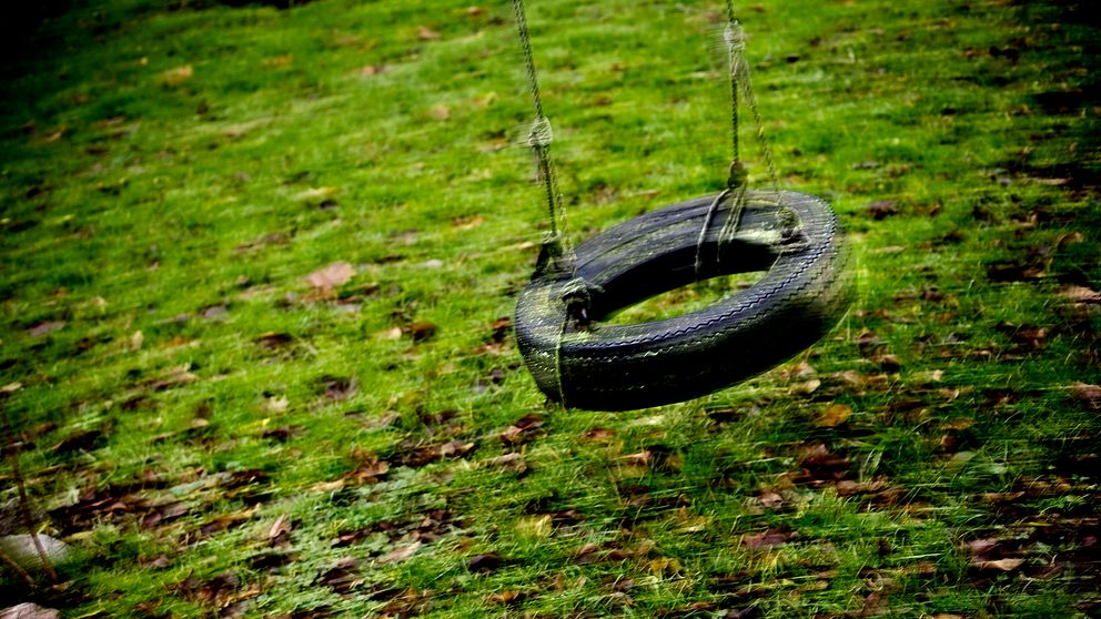 Bild på en tom gunga i form av ett bildäck som svingar över en grön gräsmatta.