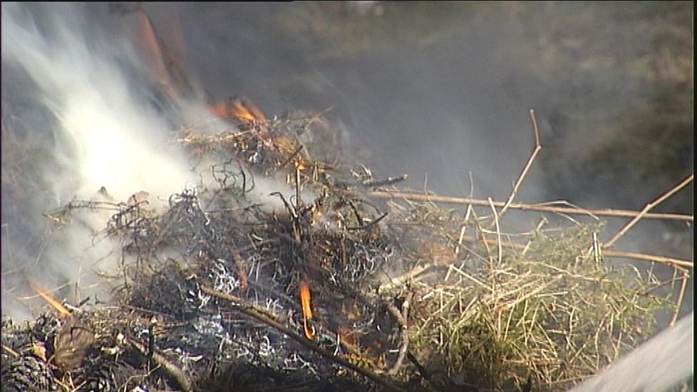 Arkivbild gräsbrand