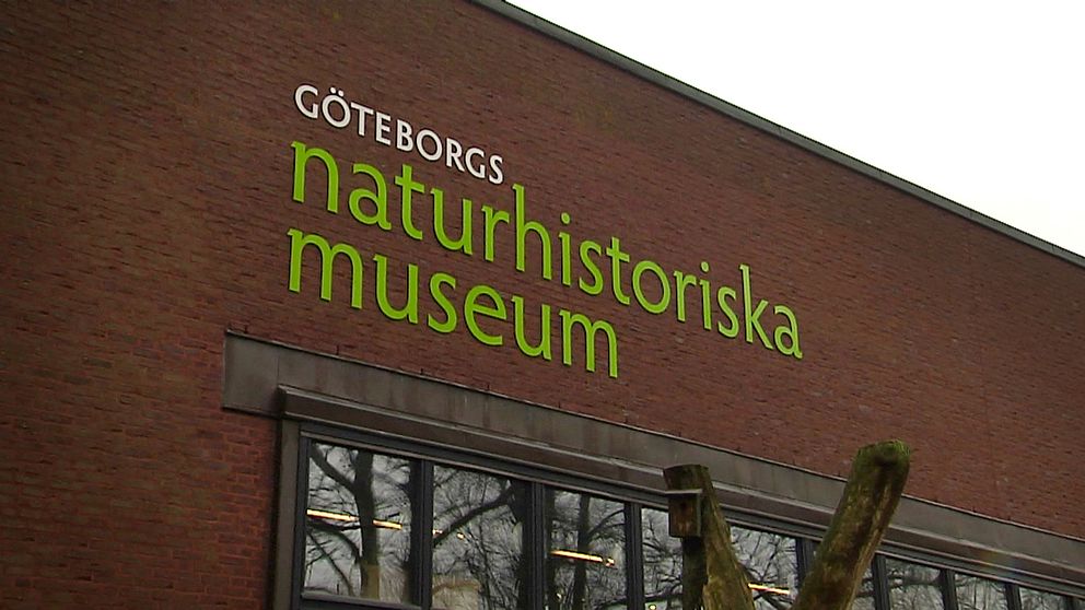 Naturhistoriska museet i Göteborg.