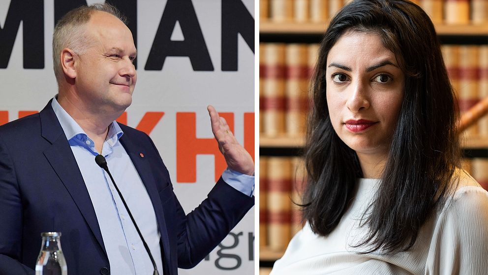 Nooshi Dadgostar Ny Partiledare F r V nsterpartiet SVT Nyheter