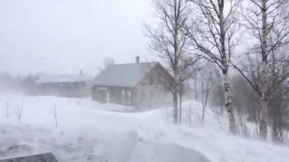 Snöstorm i Kittelfjäll i södra Lapplandsfjällen den 8 april.