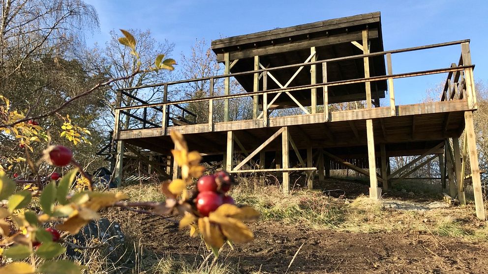 Fågeltornet i Strömsholm