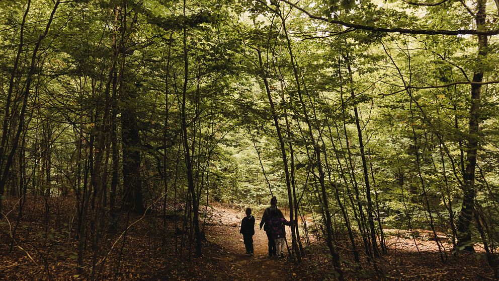 Två barn och en vuxen kvinna går genom en skogsomgärdad stig på Skåneleden vid Tingvalla.