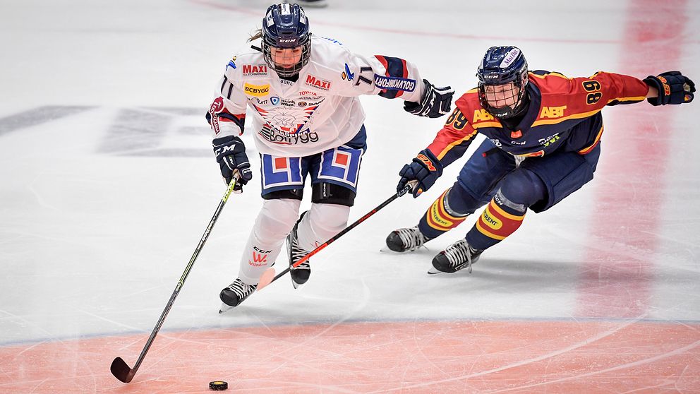 En fjärdedel av de svenska SDHL-spelarna ska vara proffs om fem år. Det är målet i en ny satsning från damhockeyligan. Arkivbild.