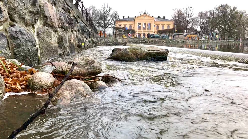 Faunapassagen i centrala Västerås