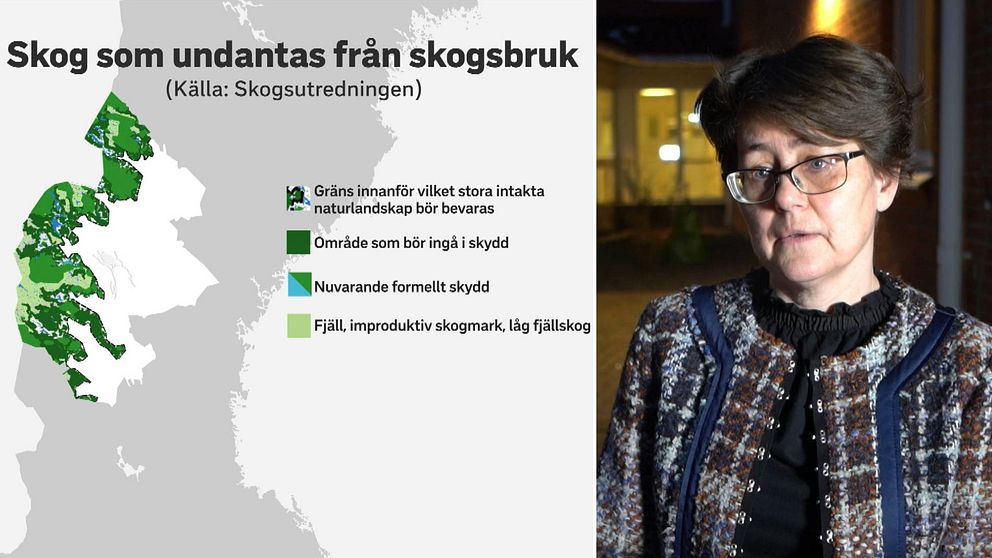 Dubbelbild. Till vänster karta över Jämtlands län med en grönfärgade områden i väster. Rubriken är ”Skog som undantas från skogsbruk”. Till höger bild på en mörkhårig kvinna med glasögon. Hon har en rutig jacka på sig.
