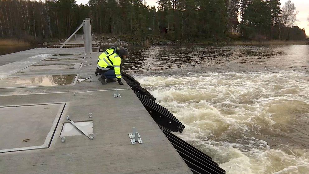 Arvika har aktiverat översvämningsskyddet efter höga flöden. Bilden är från en övning då drygt 20 kubikmeter vatten per sekund pumpas ut ur Kyrkviken.