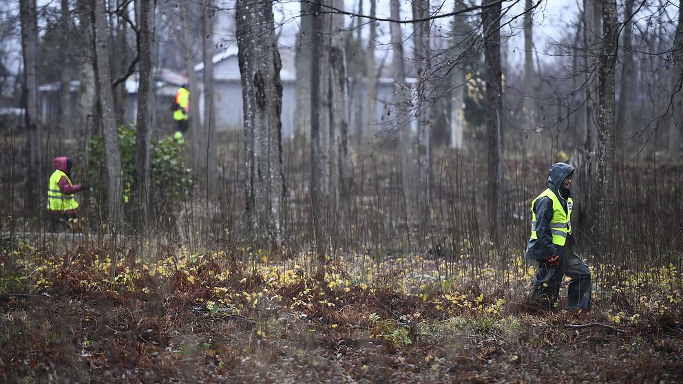 Frivilliga från Missing people söker i skogen efter en försvunnen person.