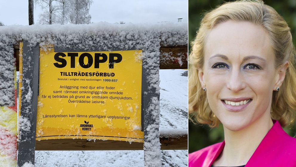 Blentas fjäderfäanläggning utanför Blentarp är avspärrad. Blentagruppens veterinär Bodil Wahlgren.