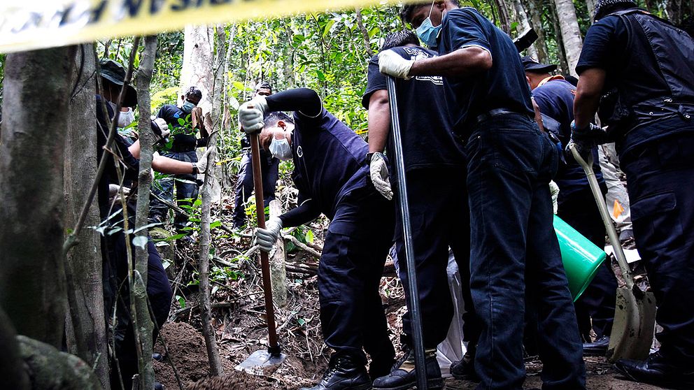 Malaysisk polis undersöker några av de gravar som upptäckts nära thailändska gränsen.