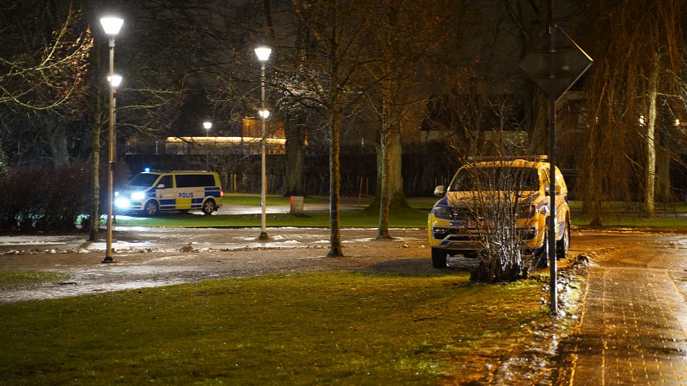 Bilden föreställer två polisbussar som står parkerade i en park. Det är kvällstid och gatlyktorna lyser. En står parkerad med fronten mot tittaren och den andra står lite längre bort med lyktorna påslagna.