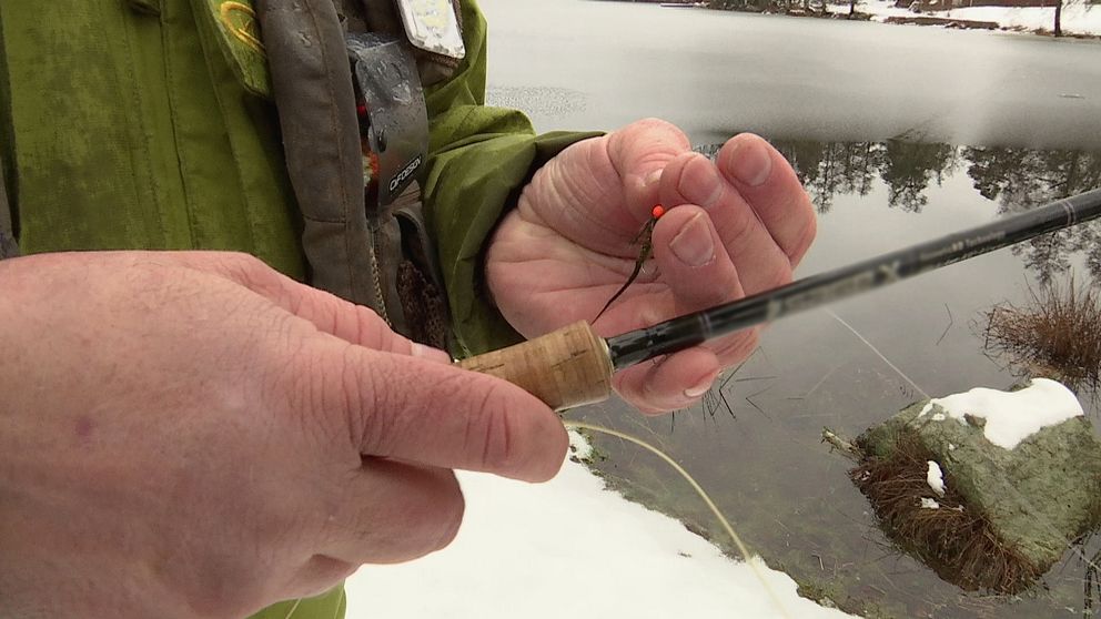 Närbild på ett par manshänder. Den högra handen som är närmast kameran håller i ett fiskespö medan den andra handen håller i en fluga till flugfiske.