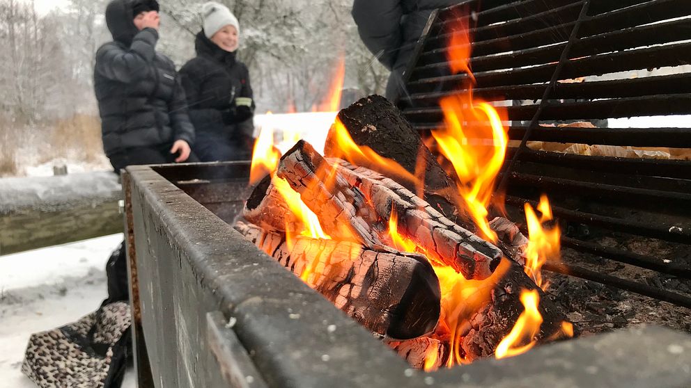 Många har varit ute i naturen och grillat under 2020