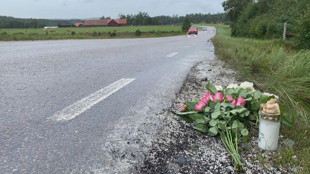 Blommor längs vägen i Slättåkra.