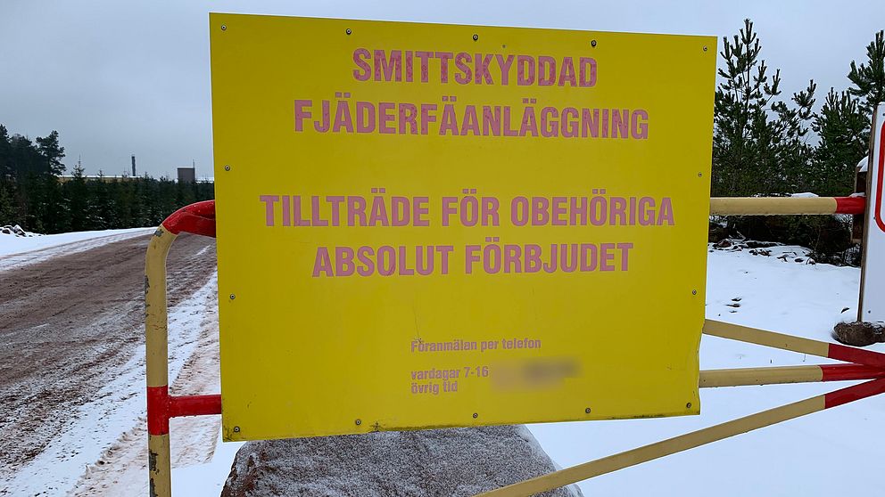 Bilden föreställer en stor gulskylt med solblekta röda bokstäver. På skylten står det ”Smittskyddad fjäderfäanläggning, tillträde för obehöriga absolut förbjudet”. Skylten hänger på ett rött och gult metallstaket. I bakgrunden syns en grusväg och snö i vägkanterna. Det skymtar även några granar och en gråmulen himmel.