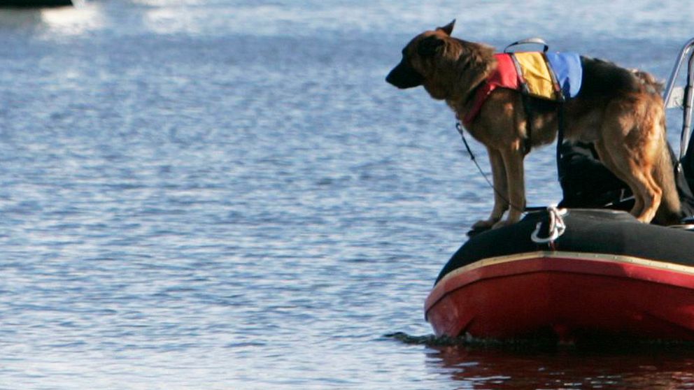 Eftersökshund på gummibåt