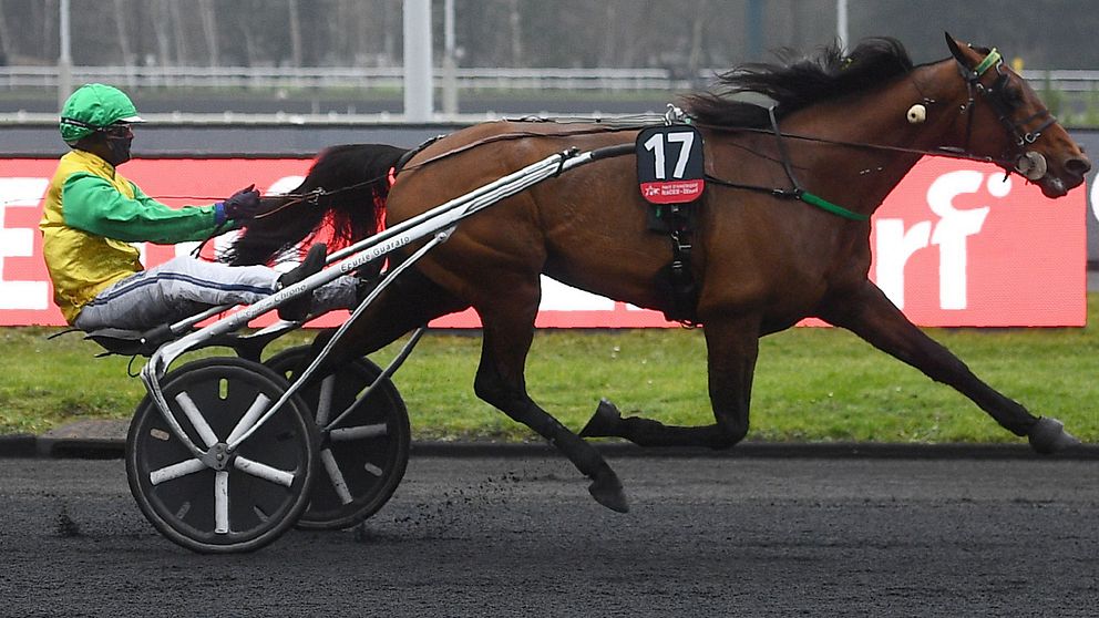 Björn Goop vann Prix d'Amérique för tredje gången.