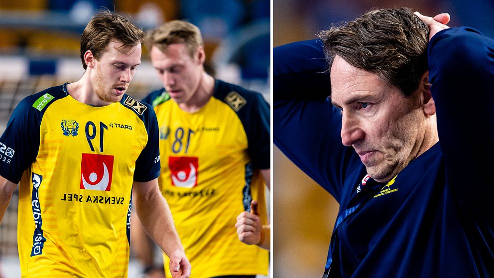 Sverige förlorade VM-finalen mot Danmark.