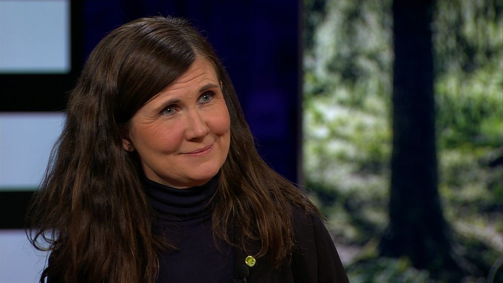 Märta Stenevi (MP) intervjuas i SVT:s Agenda.