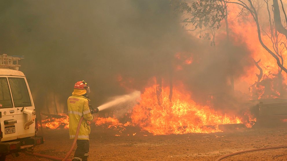 En brandman kämpar mot elden utanför Perth på tisdagen.