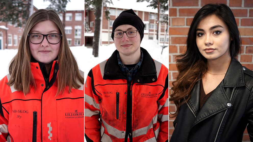 Tre elever intervjuas på Liljaskolan i Vännäs