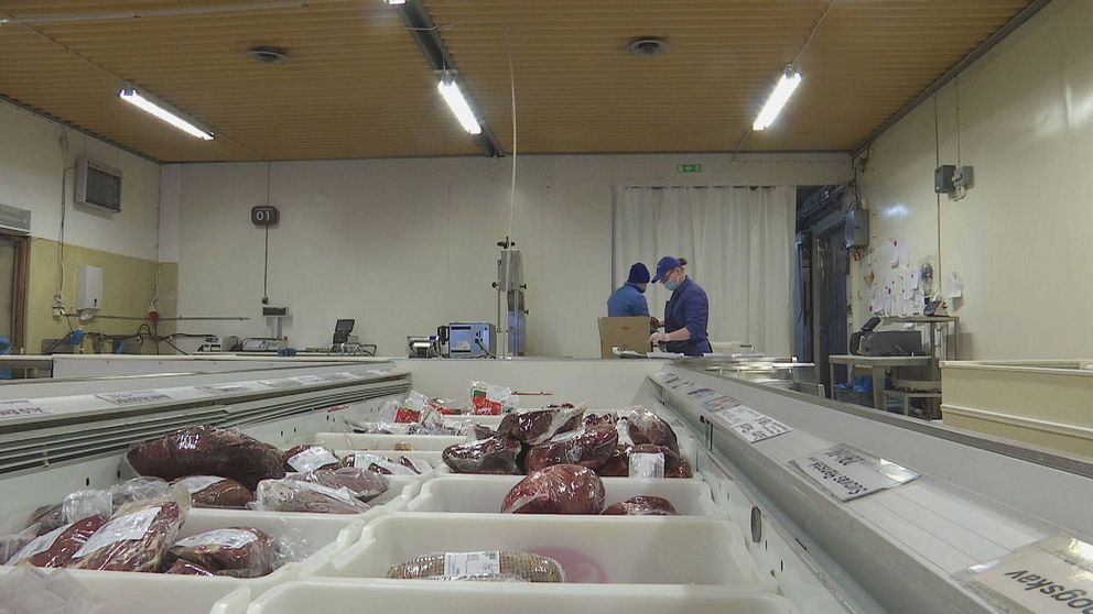vy över plastbackar med inplastat kött på rad i en arbetshall