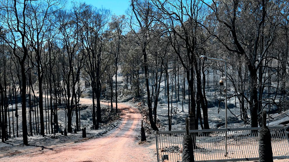 Släckt skogsbrand nordväst om australiska Perth.
