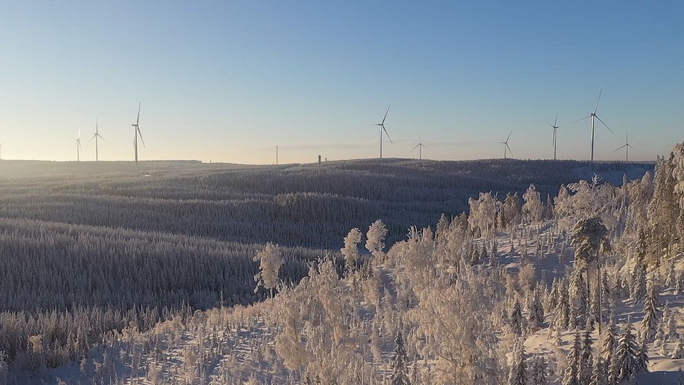 Vindkraftverk i Viksjö