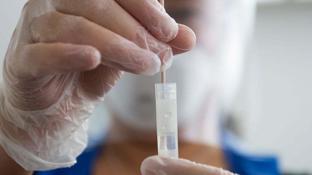 Person med plasthandskar håller i ett PCR-test.