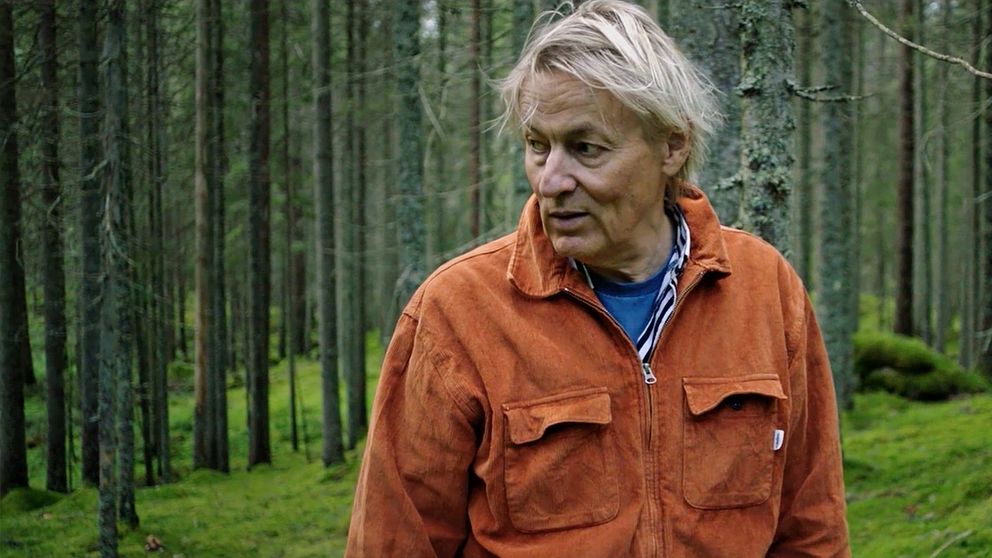 Lars Lerin