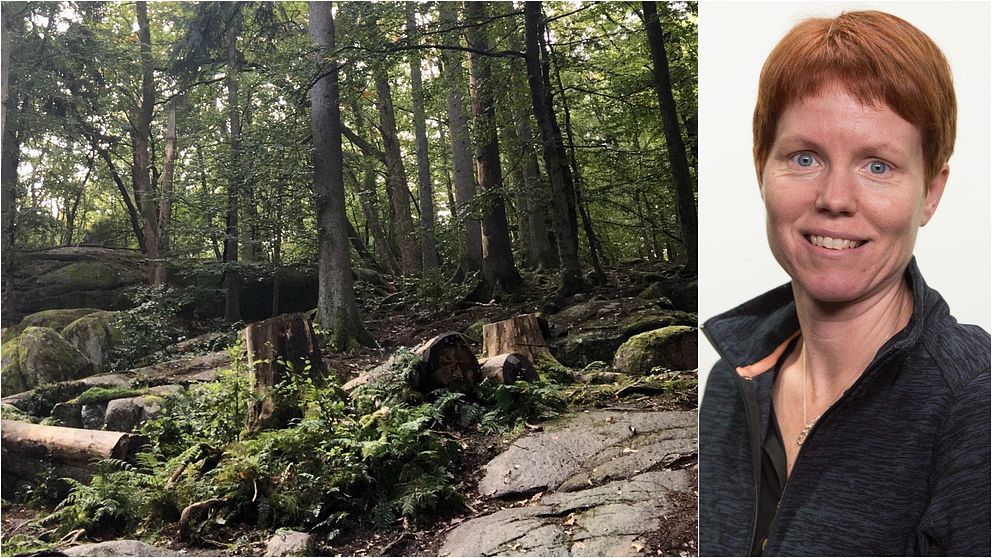 Grönskande skog till vänster i bild. Korthårig leende kvinna till höger i bild.