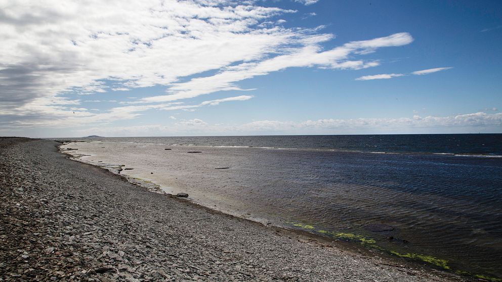 Bild på en stenstrand vid Östersjön.