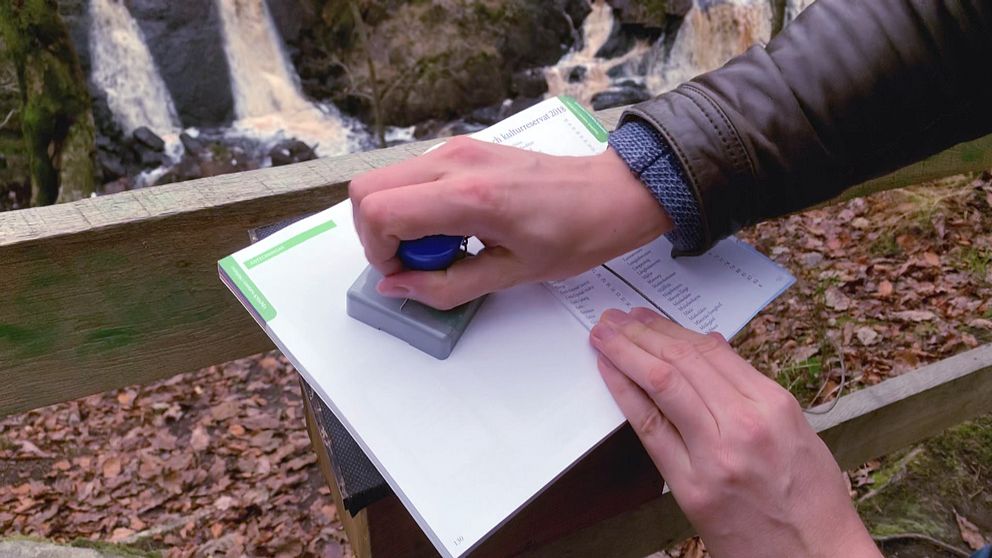 En stämpel i naturreservatet Danska fall i Halmstads kommun.