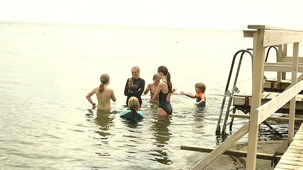 Några av barnen på simskolan samlas i vattnet.