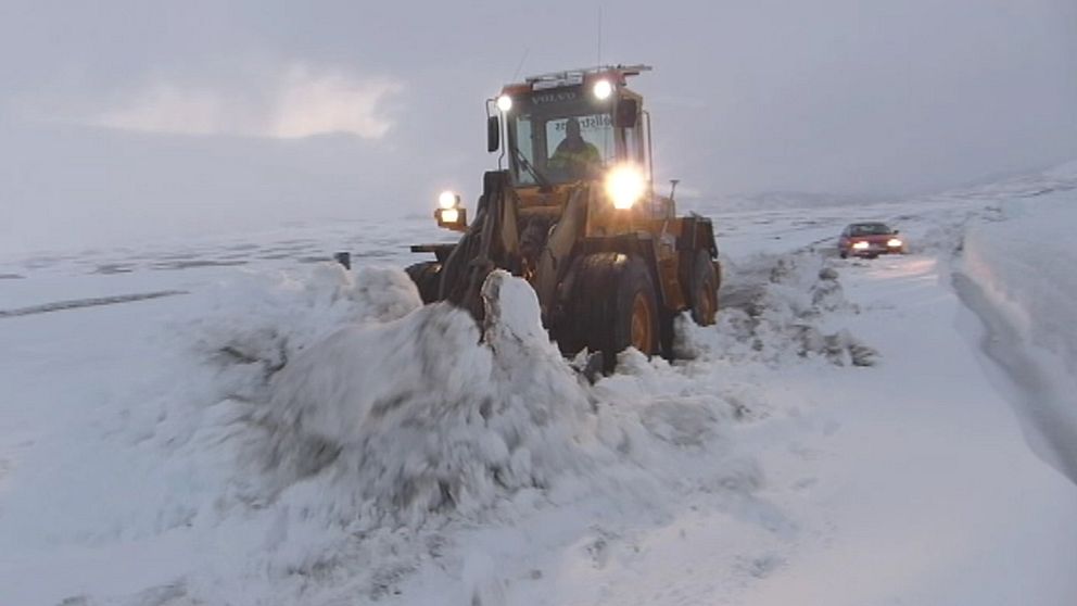 Vintern har inte gett upp än, för uppåt en halvmeter snö föll i Stekenjokk i sydligaste Lapplandsfjällen natten till den 11 juni.