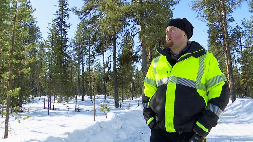 Mikael Salomonsson står i en skog.