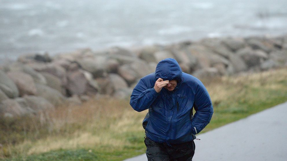Bilden visar en man i blå jacka på promenad vid havet. Han håller fast huvan på sin jacka på grund av blåsten.