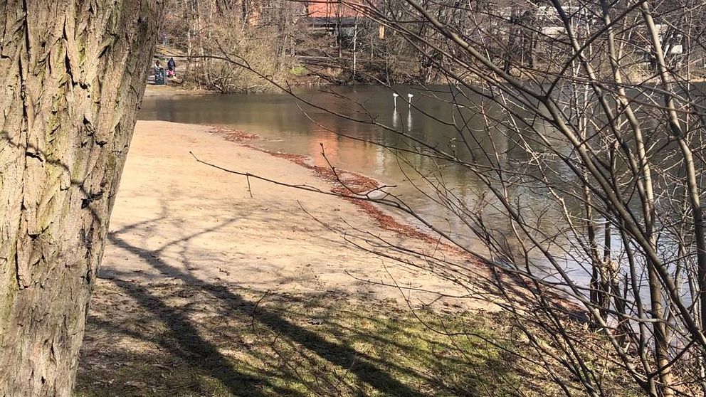 Strandbadet vid sjön Trekanten.