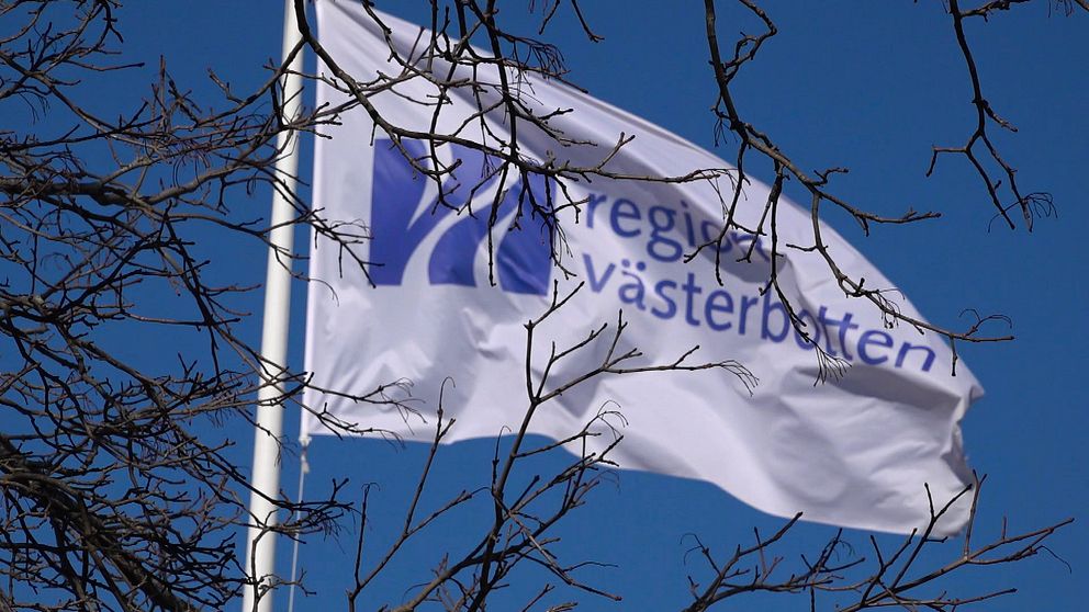 Region Västerbottens flagga fladdrar i vinden med klarblå himmel och solsken, grenar och kvistar i fokus framför en något suddig flagga