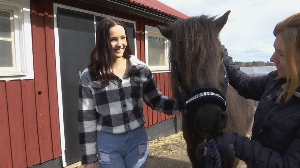 Laura Locmele, hästen Frei och Fia Davidsson, djuransvarig behandlare på Risingegården