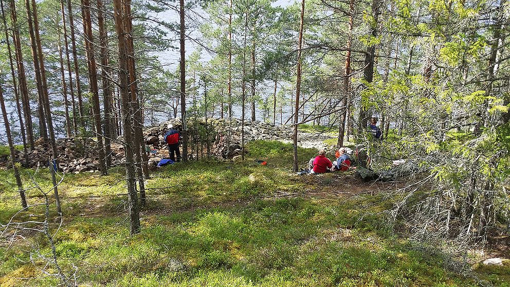 Längst ut på Fornäs udd i Vika ligger det flera gamla gravar som tros vara från bronsåldern. En av dem grävs nu ut av Dalarnas museum med hjälp av frivilliga.