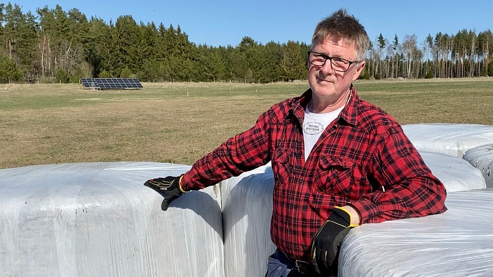 Ett unikt projekt sätts just nu upp på Ulf Anderssons gård i Kärrbo utanför Västerås. Odling och solceller på samma mark.