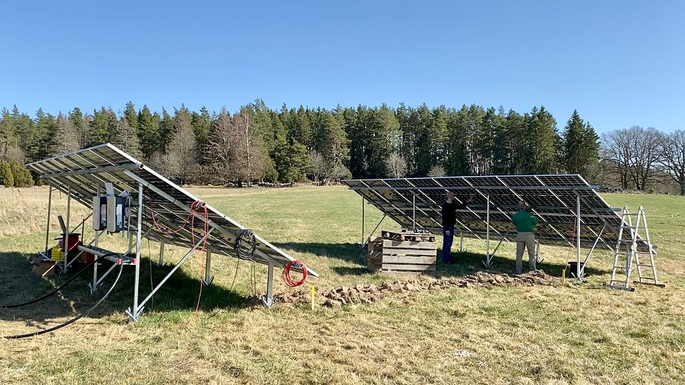 I ett unikt forskningsprojekt ska solceller dels ge energi och dels skapa skuggpartier där markfukten kan bevaras och möjliggöra att grödan kan växa bättre.