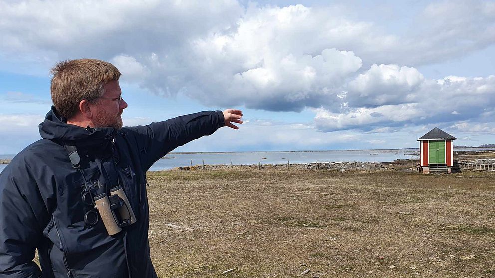 Magnus Hellström, chef Ottenby Fågelstation, konstaterar att vissa fåglar är sena i år.